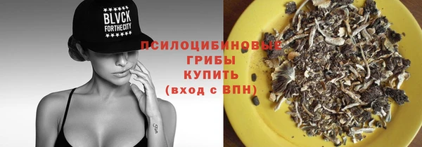 крисы Алексеевка