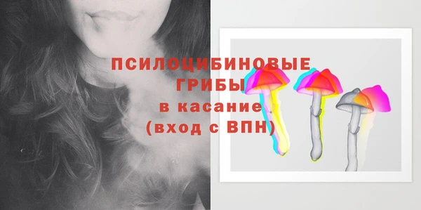 крисы Алексеевка