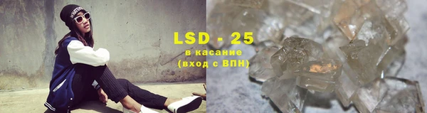 прущие грибы Абдулино