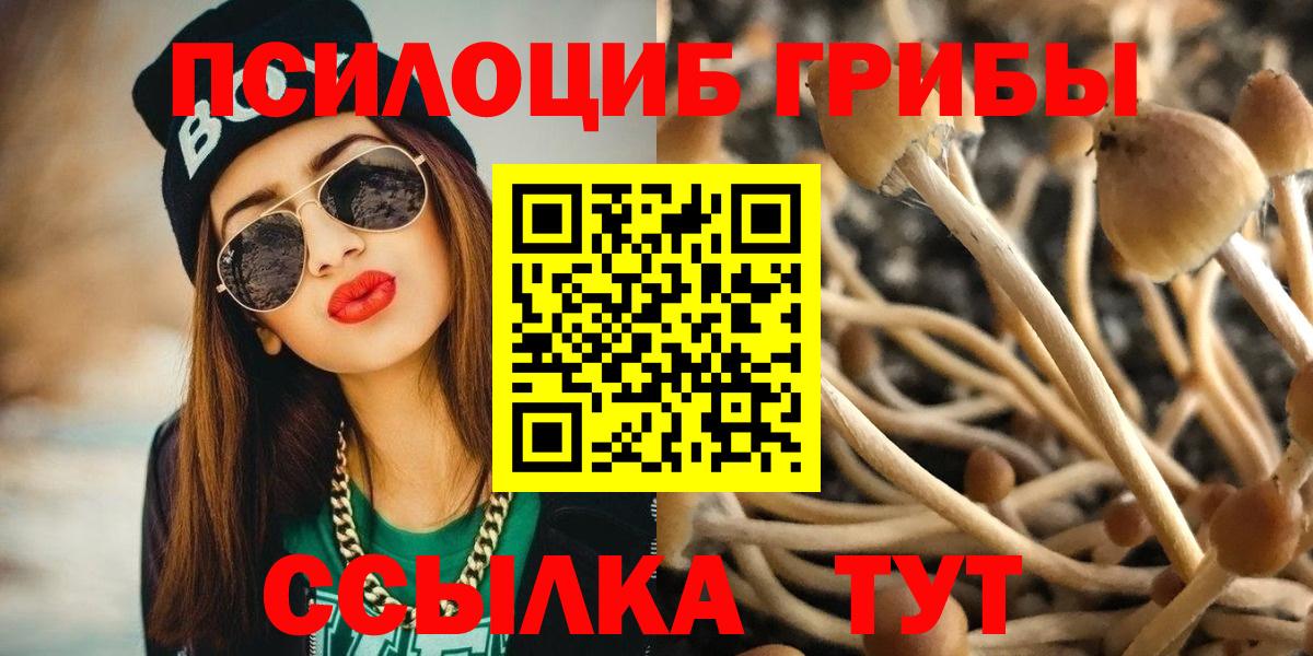 Галлюциногенные грибы GOLDEN TEACHER Людиново