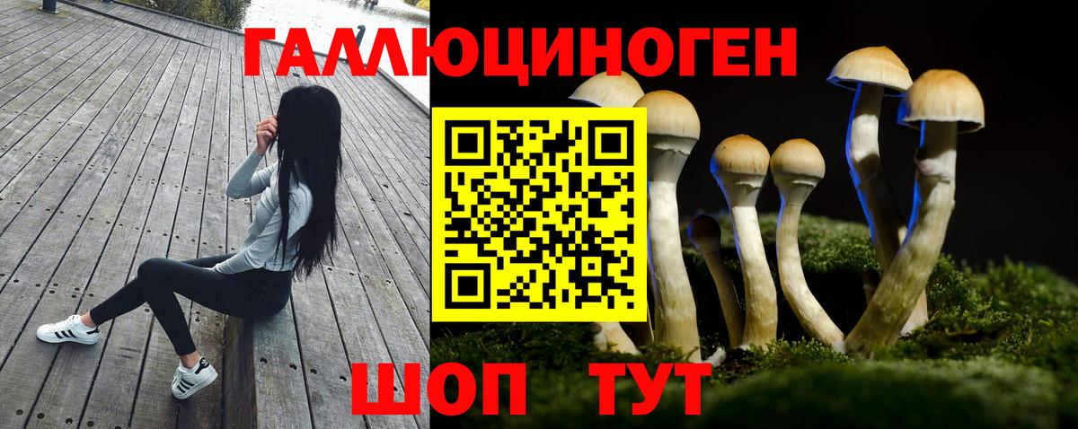Людиново  Галлюциногенные грибы Cubensis  Галлюциногенные грибы Magic Shrooms  Вход с VPN 
